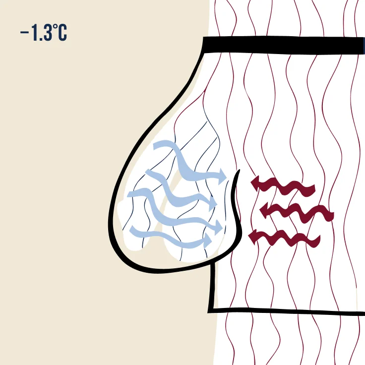 Illustration: -1.3°C worn temperature