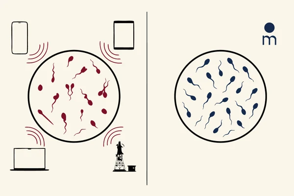 Illustration: sperm exposed to phone signals versus shielded by Majella