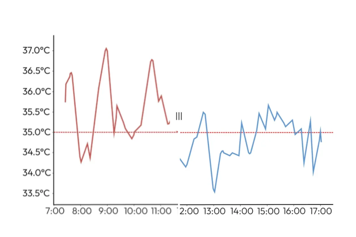 Chart: temperature over a day, regular underwear against Majella