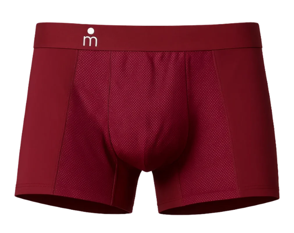 Majella underwear in burgundy, showing the 3D pouch